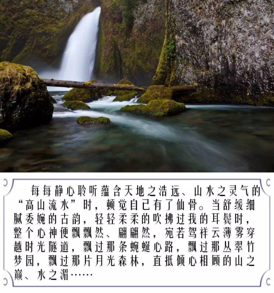 妖精剑士F
