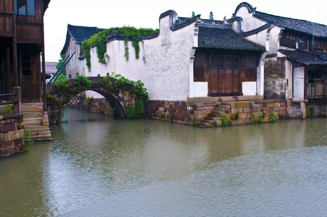 逃离废弃自然公园